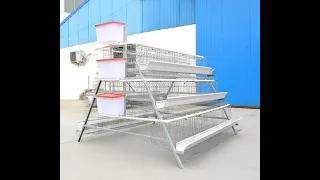 Layer Poultry Cage Installation