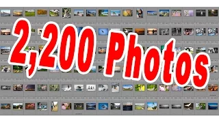 Critiquing ALL 2,200 Photos Submitted: Summertime Photo Challenge