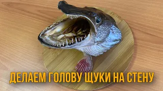 Делаем голову щуки на стену. Чучело головы щуки. Трофейная щука.