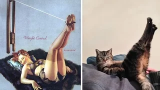 24 Hilarious Photos Of Cats Posing Like Pin Up Girls
