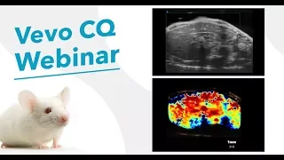 February 2018: Contrast-Enhanced Ultrasound Imaging: Advanced Data Analysis with Vevo CQ