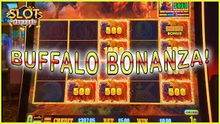 Buffalo Link BONUS GAMES! FIRST TIME FUN!