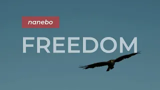 NANEBO - FREEDOM