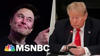 Elon Musk Reinstates Trump’s Twitter Account