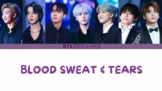 BTS - Blood Sweat & Tears (Colour Coded Lyrics)