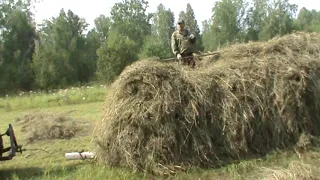 Часть 2 т 28 снова  в деле  т 16 проблема не известна  последний день уборки сена.