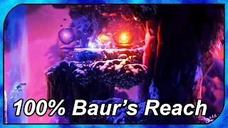 How to get 100% in Baur's Reach | Ori and the Will of the Wisps Guide