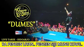 GUYON WATON | DUMES | AN PROMOSINDO -  TARIK -SDA