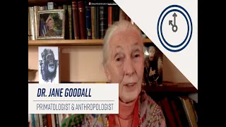 In The Moment: Dr. Jane Goodall