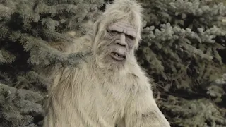 6@6: Another Bigfoot Sighting!