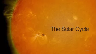 The Solar Cycle