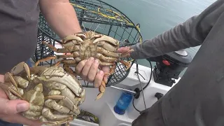 2022 Catch, Clean, and Cook Dungeness Crab