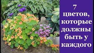 ❀ 7 цветов, которые обязательно должны быть на каждом дачном участке