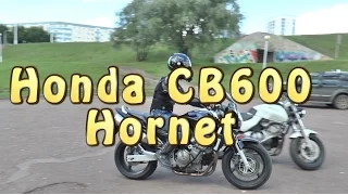 [Докатились!] Honda CB600 Hornet. Статус Кво.