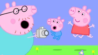 Heo Peppa | Máy quay phim của ba | Phim Hoạt Hình Cho Trẻ Em