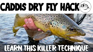 Fly Fishing: The Long Leader Skittering Caddis Dry Fly HACK