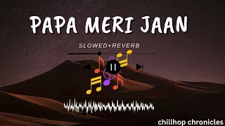 ANIMAL: PAPA MERI JAAN (Slowed and reverb)| Anil K,Rashmika M | Sandeep V |Sonu Nigam |Bhushan K