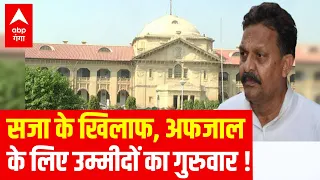 LIVE : सजा के खिलाफ, अफजाल के लिए उम्मीदों का गुरुवार ! | Allahabad HC on Afzal Ansari | UP News