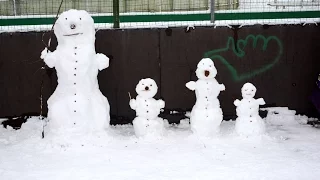 День снега на "Даугаве". День первый.