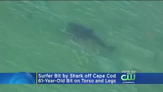 Surfer Hospitalized After Shark Attack Off Cape Cod