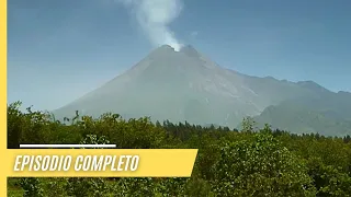 Volcanes Peligrosos del Mundo - Merapi, la Montaña de Fuego de Java | Episodio Completo