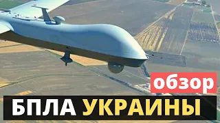 RAM UAV, PD-2, UJ-22, RAM II , ББ LUACC, Сокол-300, SkyFist. Состояние и перспективы.