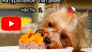 Натуральное питание 1 часть/Основное/таблица питания🥗