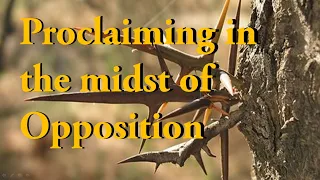 Proclaiming in the midst of Opposition [Jn 15:26 -16:4] | Today's Bible Reflection