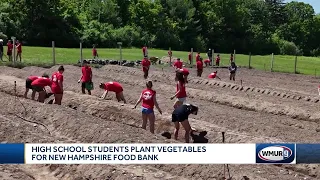 New Hampshire high schoolers plant crops for food bank