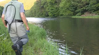 East Branch Delaware River Catskills June 2021, Lower Island