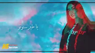 ياطير سنونو🕊سلملي ع عيونو😍لمى شريف حصريا 2021