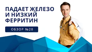 Обзор №28 Падает Железо и низкий Ферритин