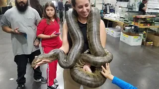 Выставка рептилий в Калифорнии🐢🦎🐍🐉🦂🕷🕸  / Reptile show, Sacramento, ca