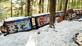 Train Wreck in the Woods