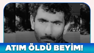 UMUT Türk Filmi | Cabbar'ın Atı Ölüyor!