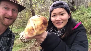 Edible Mushroom I.D. (Vid#2): King Bolete/Porcini, Soup!