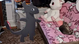 Toothless dancing in my room