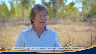 Landholders Driving Change: Soil health - The challenge for change with Dr Christine Jones