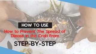 How to Ensure a Disease-Free Crab Farm | Step-by-Step |