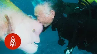 Aquatic Affection: How a Scuba Diver Found a Good Friend Under the Sea