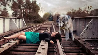 Wild Wolf Blocked the Train, Driver was Shocked to See There Was A Woman Who Was Pregnant...