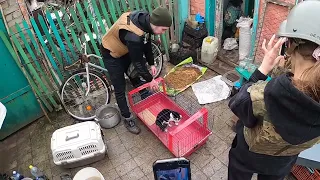 Ukraine pet rescue with Nick Tadd - Braving the bombs in Chasiv Yar