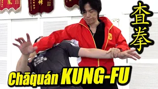 【KUNG-FU】Hidden techniques of "Chāquán" /"Cun jin","liao yin zhang",Headbutt ＜Tamotsu Miyahira＞