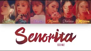 [1 시간 / 1 HOUR LOOP] (G)I-DLE (여자아이들) - Senorita - Color Coded Lyrics