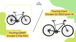 So Sánh Giữa Xe Touring Giant Escape 2 Disc Và Escape 2 City Disc Quốc Tế Có Gì Khác