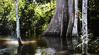 Amazonas - Trailer Oficial