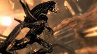 Aliens vs Predator - KillMoves Trailer - eGames.pl