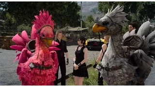 FINAL FANTASY XV Iris Chocobo Races