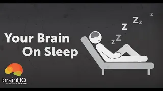 Your Brain on Sleep