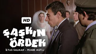 Şaşkın Ördek | Restorasyonlu | İlyas Salman, Pembe Mutlu, Münir Özkul, Adile Naşit | Tek Parça